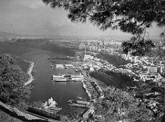 ORAN 02511